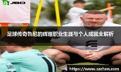 乐竟体育官网