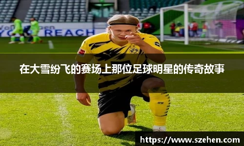 在大雪纷飞的赛场上那位足球明星的传奇故事