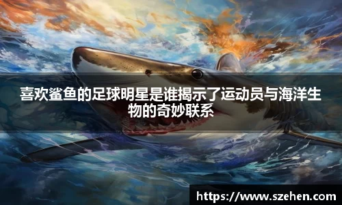 乐竟体育登录入口